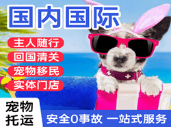 三源浦航空货运国际宠物托运 【国